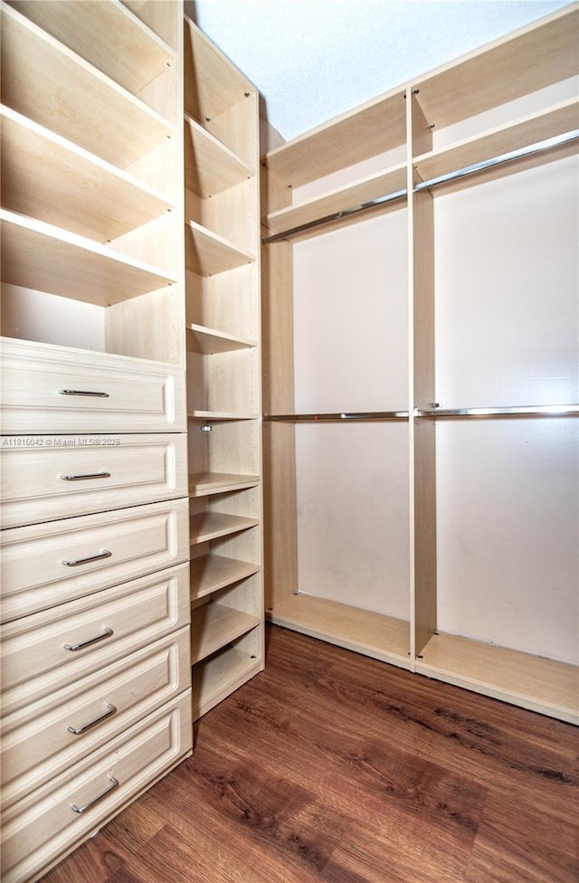 7997 NW 199th Ter, Hialeah, FL 33015 - walk in closet with dark wood-style flooring