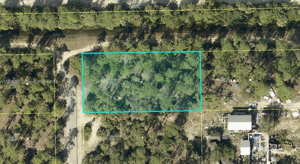 432 N Pauline, Lehigh Acres, FL 33974 - photo 1