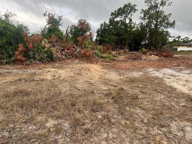 17 Rosevelt Ave, Lehigh Acres, FL 33936 - photo 2