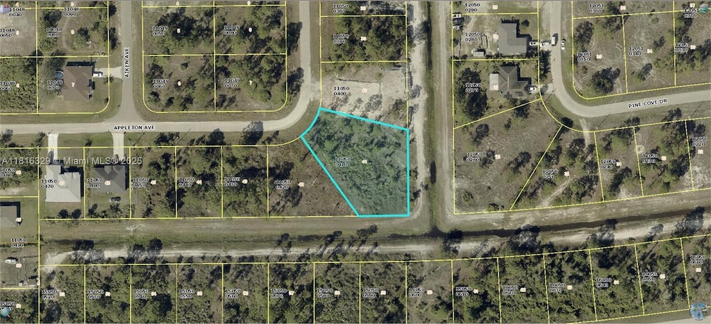 825 Appleton Ave, Lehigh Acres, FL 33974 - photo 1