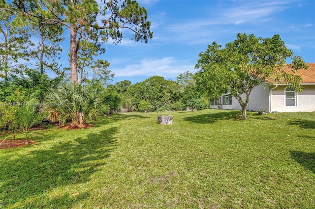 17084 N 33rd Rd N, Loxahatchee, FL 33470 - view of green lawn
