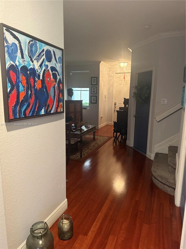 973 SW 149th Ct, Miami, FL 33194 - hall with wood finished floors, stairway, ornamental molding, baseboards, and a textured wall