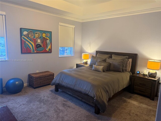 973 SW 149th Ct, Miami, FL 33194 - carpeted bedroom with crown molding