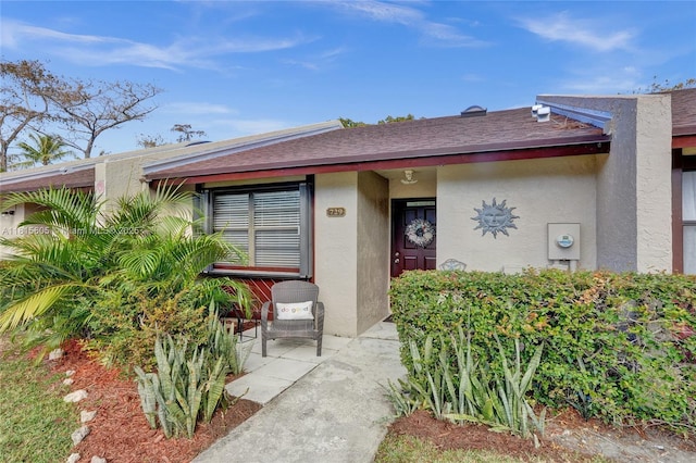 729 NW 47th St, Deerfield Beach, FL 33064 - doorway to property featuring stucco siding, a patio, and a shingled roof