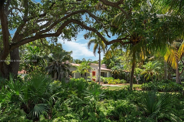 492 NE 55th St, Miami, FL 33137 - view of yard