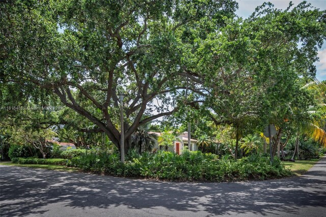492 NE 55th St, Miami, FL 33137 - view of asphalt road