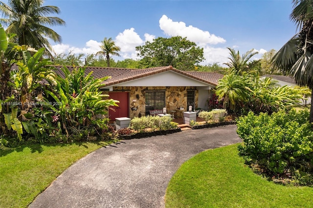 9728 SW 135th Ter, Miami, FL 33176 - view of front of property with stone siding, a tile roof, asphalt driveway, and a front lawn