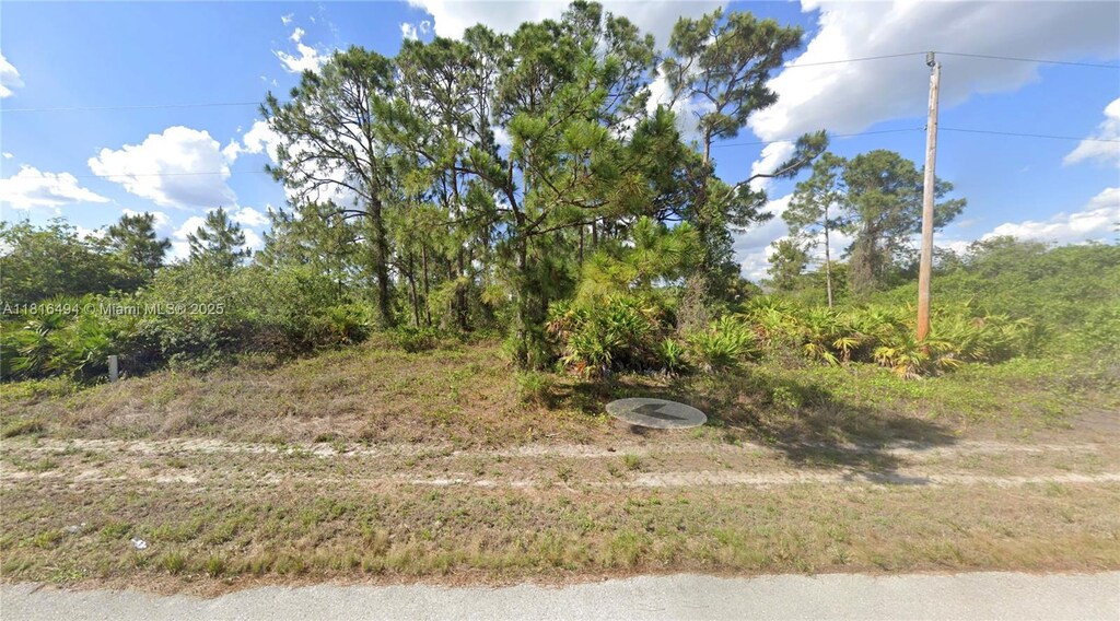 1053 Venture St, Lehigh Acres, FL 33974 - photo 1