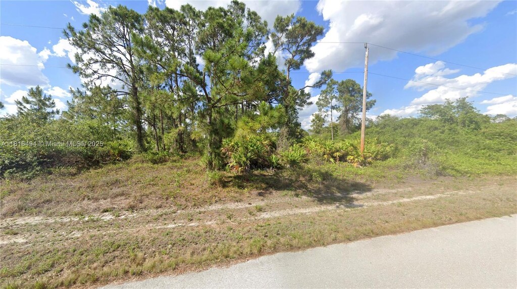 1053 Venture St, Lehigh Acres, FL 33974 - photo 2