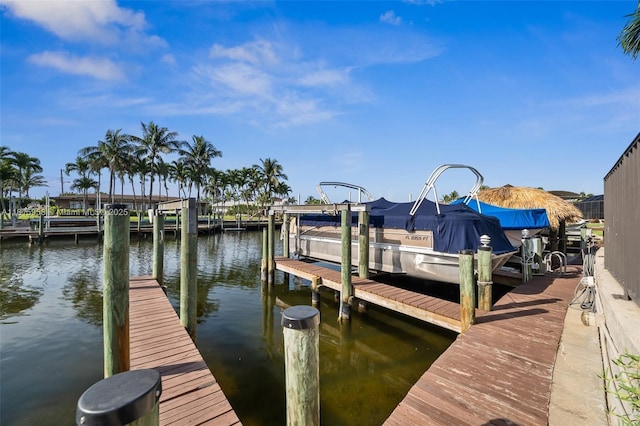 4803 SW Santa Barbara Ct Unit 5, Cape Coral, FL 33914 - dock area with boat lift and a water view