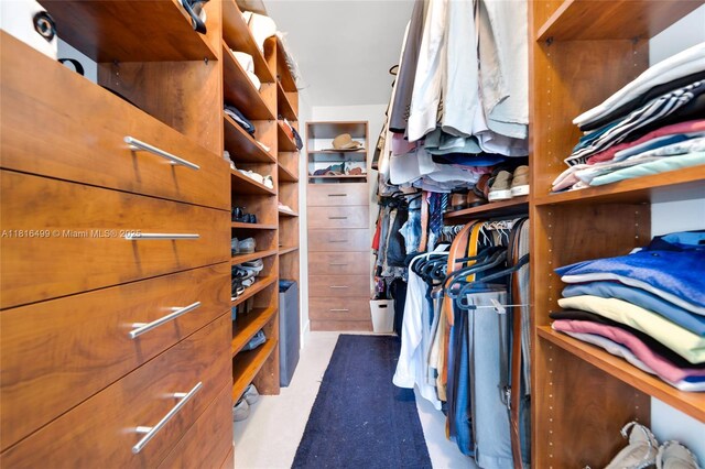 1155 Brickell Bay Dr Unit 3002, Miami, FL 33131 - view of walk in closet