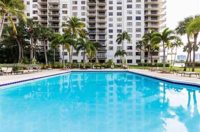 18151 NE 31st Ct Unit 205, Aventura, FL 33160 - view of community pool
