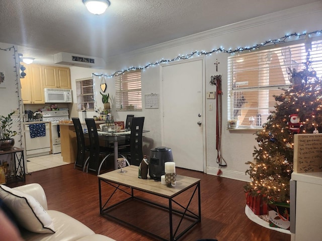 110 SE 2nd St Unit 210, Hallandale Beach, FL 33009 - living area with crown molding, light wood finished floors, a textured ceiling, and plenty of natural light