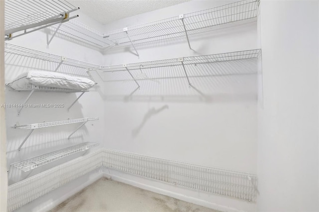 9510 Seagrape Dr Unit 101, Davie, FL 33324 - spacious closet featuring carpet floors