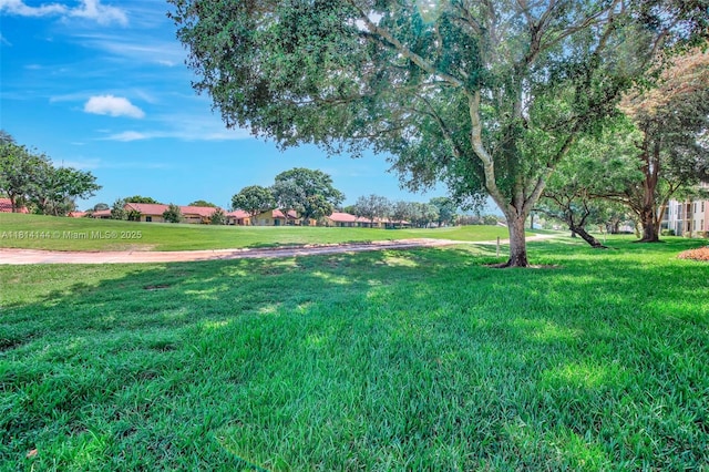 9510 Seagrape Dr Unit 101, Davie, FL 33324 - view of grassy yard