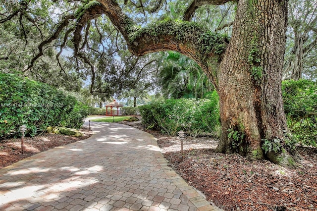 9510 Seagrape Dr Unit 101, Davie, FL 33324 - view of surrounding community