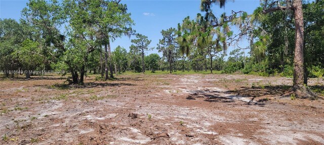 0 Rosalie Lake Rd, Lake Wales, FL 33898 - photo 2