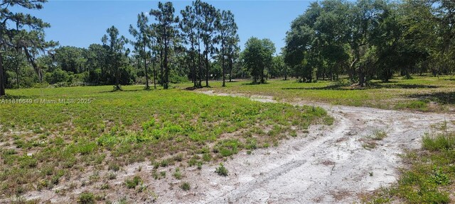 0 Rosalie Lake Rd, Lake Wales, FL 33898 - photo 3
