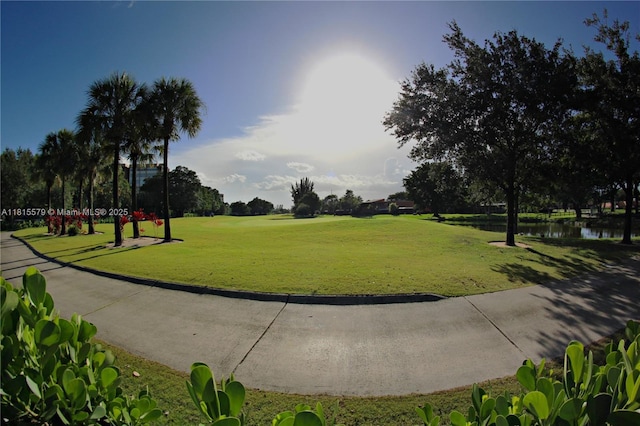 1100 Saint Charles Pl Unit 712, Pembroke Pines, FL 33026 - surrounding community featuring a water view and a yard