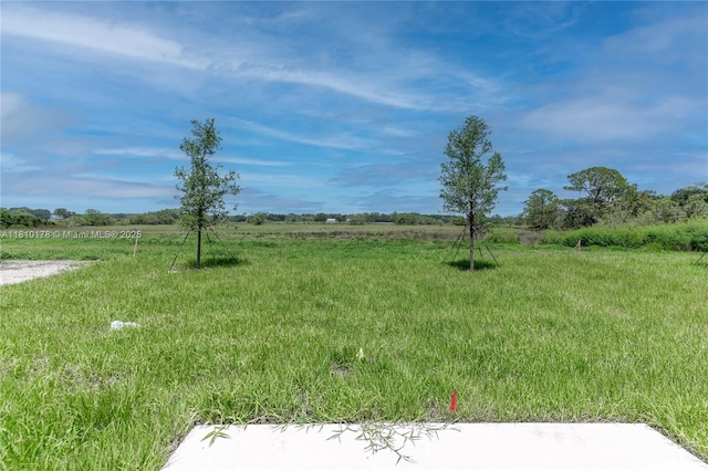 934 Cattleman St, Winter Haven, FL 33884 - photo 14