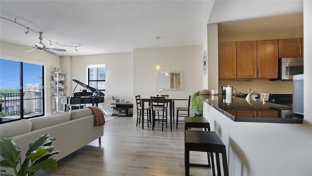 8390 SW 72nd Ave Unit 811, Miami, FL 33143 - living area with light wood-type flooring and ceiling fan