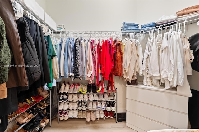 8001 NW 41st St Unit F-107, Doral, FL 33166 - walk in closet with wood finished floors