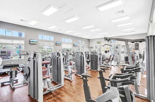 9120 SW 227th Ter, Cutler Bay, FL 33190 - gym featuring wood finished floors and healthy amount of natural light