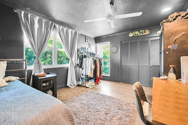 7761 SW 170th St, Palmetto Bay, FL 33157 - bedroom featuring wood finished floors, a textured ceiling, a ceiling fan, and crown molding