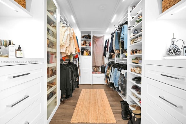 7761 SW 170th St, Palmetto Bay, FL 33157 - walk in closet featuring dark wood finished floors