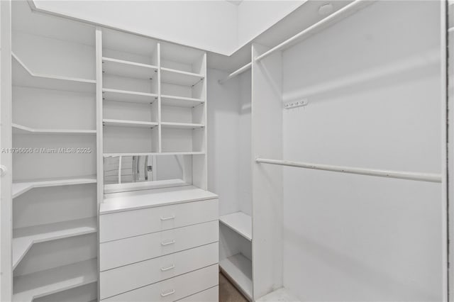 201 Crandon Blvd Unit 633, Key Biscayne, FL 33149 - view of spacious closet