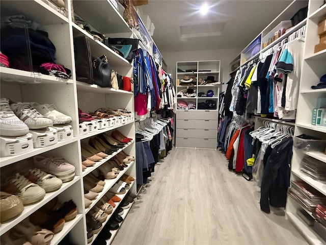 8167 NW 45th St, Doral, FL 33166 - walk in closet featuring attic access and wood finished floors