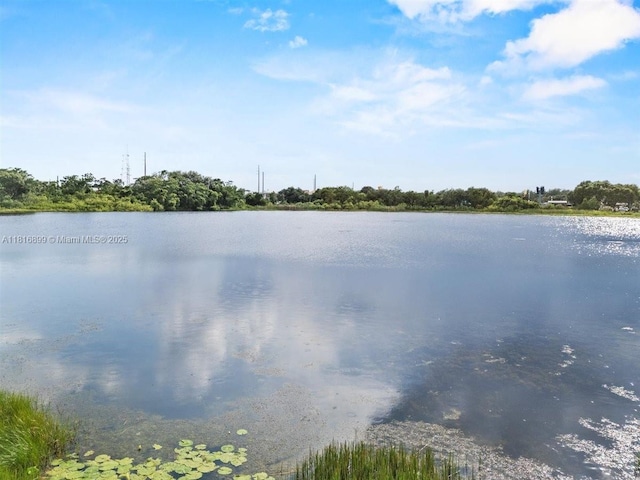 8120 Gondola Dr, Orlando, FL 32809 - photo 30