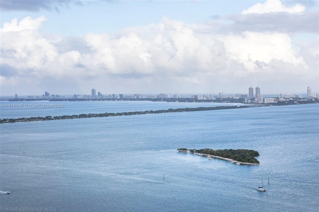 488 NE 18th St Unit 3911, Miami, FL 33132 - water view featuring skyline