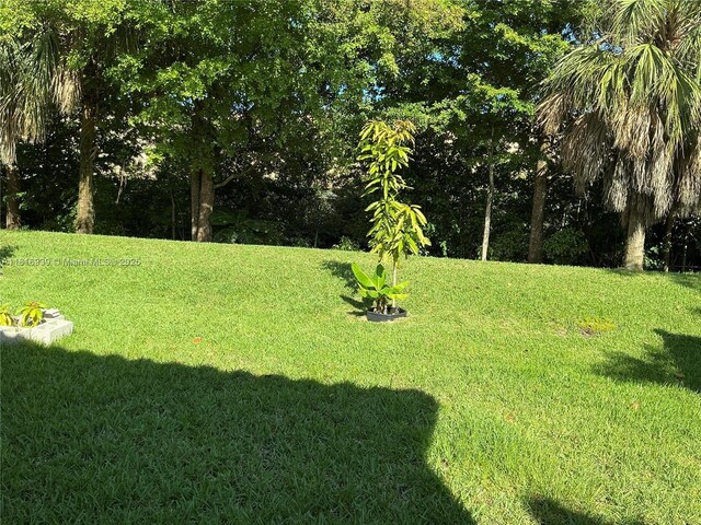 5220 NW 48th Ln, Tamarac, FL 33319 - view of green lawn