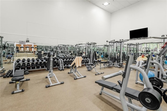 1000 Quayside Ter Unit 1107, Miami, FL 33138 - exercise room featuring a high ceiling