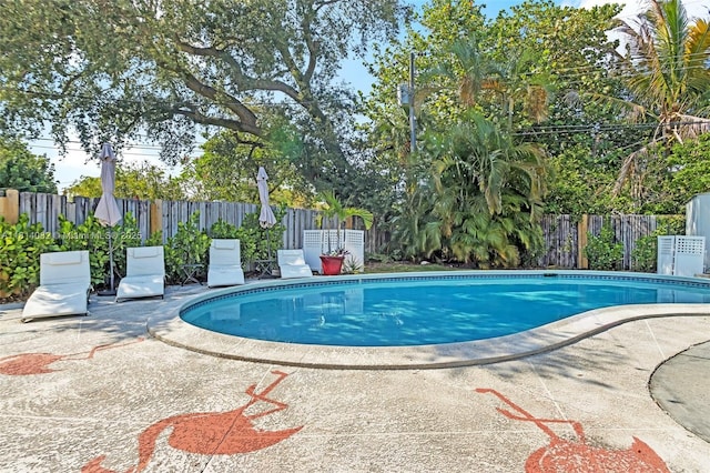 1547 NE 38th St, Oakland Park, FL 33334 - view of swimming pool with a fenced backyard and a patio area