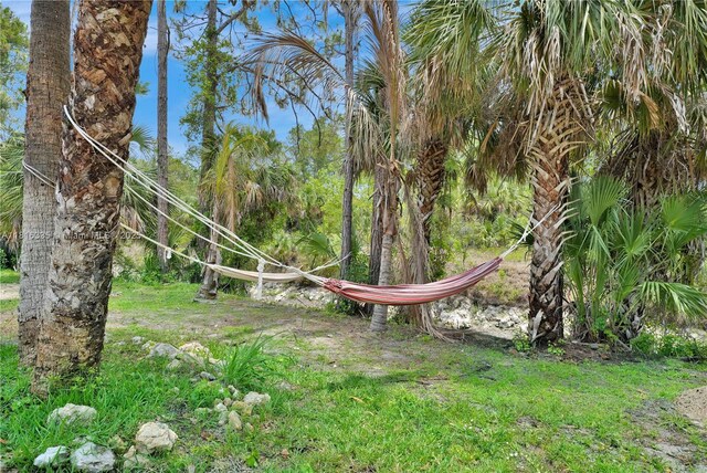 1902 Della Dr, Naples, FL 34117 - view of yard