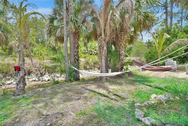 1902 Della Dr, Naples, FL 34117 - view of yard