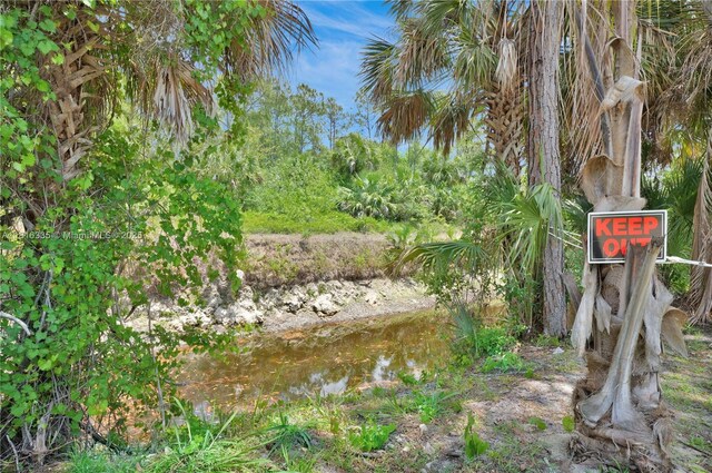 1902 Della Dr, Naples, FL 34117 - view of yard