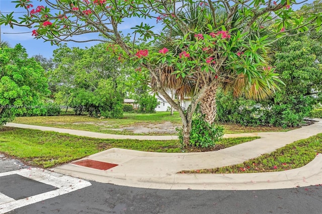118 SW 8th Ct, Deerfield Beach, FL 33441 - photo 10