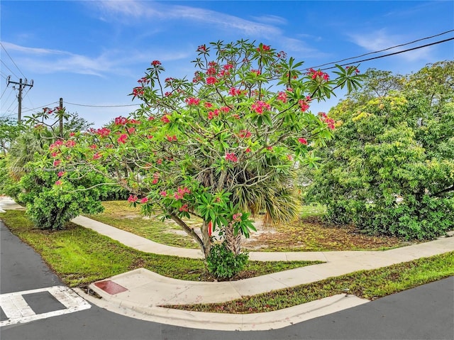 118 SW 8th Ct, Deerfield Beach, FL 33441 - photo 11
