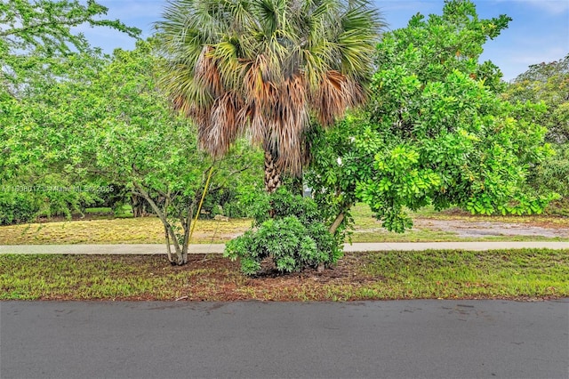 118 SW 8th Ct, Deerfield Beach, FL 33441 - photo 12