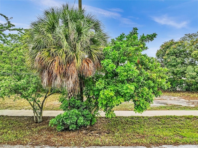 118 SW 8th Ct, Deerfield Beach, FL 33441 - photo 13