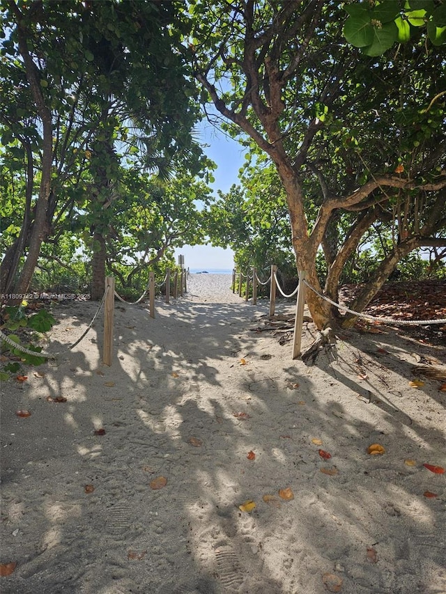 5701 E Collins Ave Unit Ph10, Miami Beach, FL 33140 - view of yard