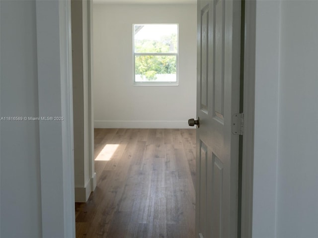 3613 SW 12th Pl, Fort Lauderdale, FL 33312 - corridor with wood finished floors and baseboards