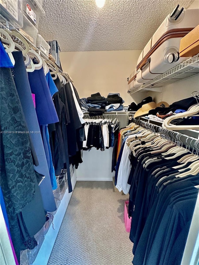 4306 43rd Way, West Palm Beach, FL 33407 - walk in closet featuring carpet