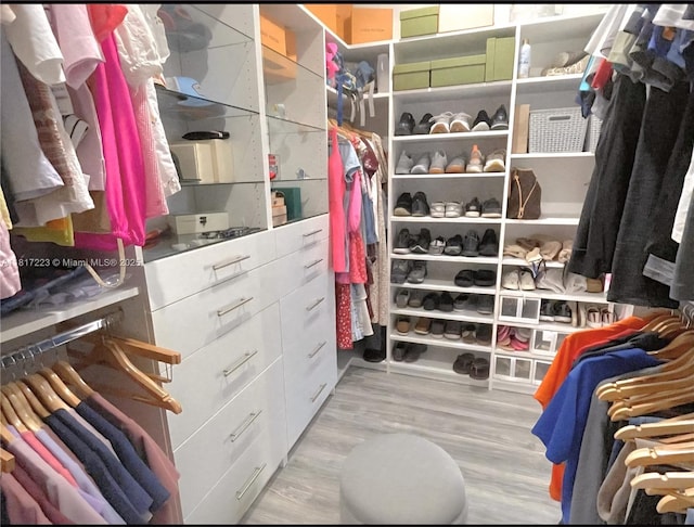 14121 SW 152nd Ter, Miami, FL 33177 - walk in closet featuring wood finished floors