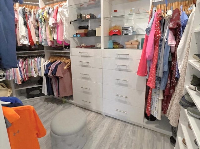 14121 SW 152nd Ter, Miami, FL 33177 - spacious closet with wood finished floors