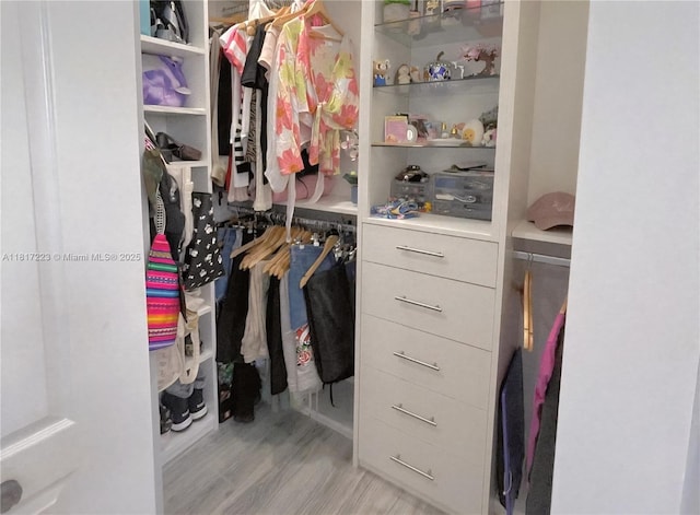 14121 SW 152nd Ter, Miami, FL 33177 - walk in closet with wood finished floors
