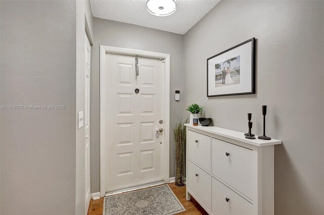 9012 Lake Park Cir S, Davie, FL 33328 - entrance foyer featuring light wood-style floors, a textured ceiling, and baseboards
